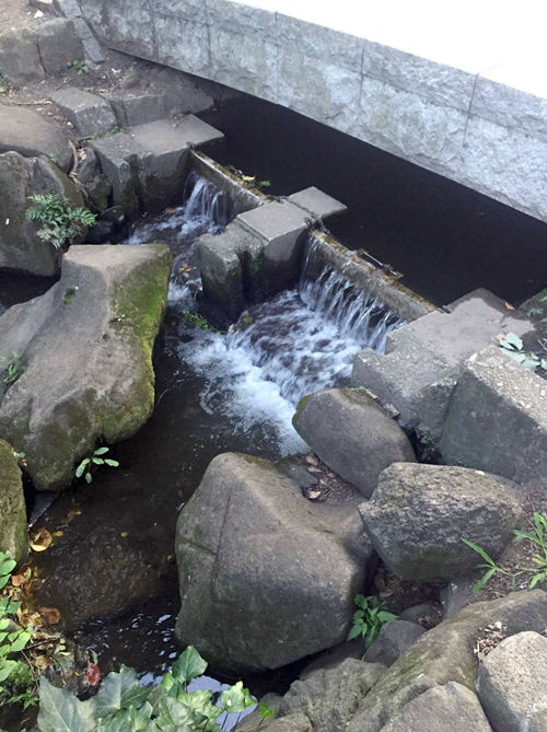 吉祥寺 神田川の源流もあるおしゃれスポット 井の頭公園 を散策 東京ひとり旅ガイド