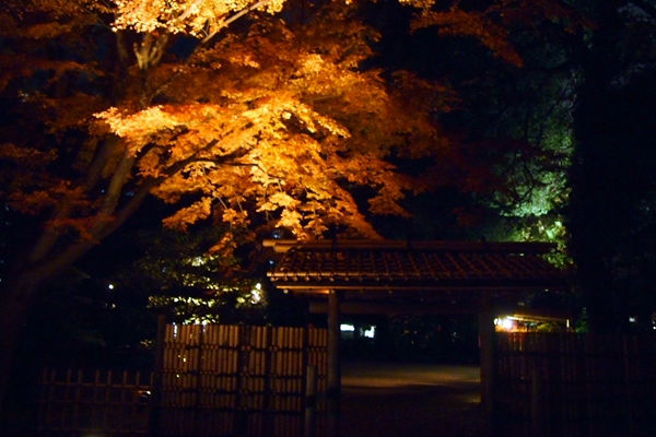 紅葉