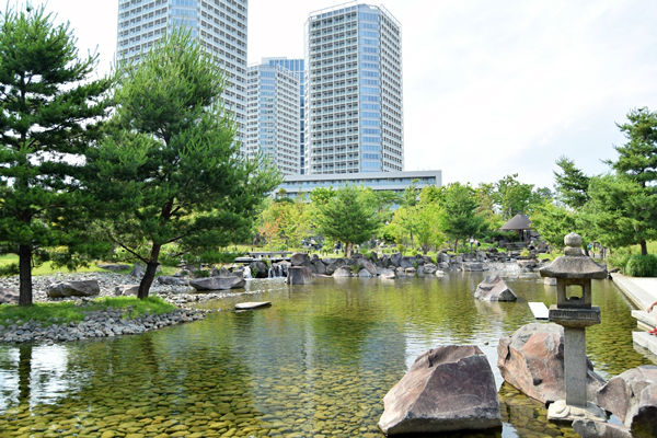 庭園中央の池