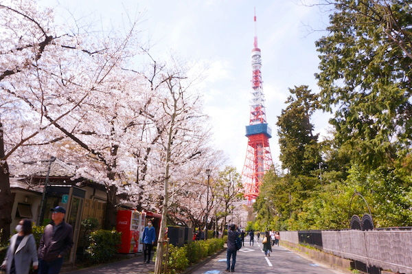 東京タワー撮影ポイント