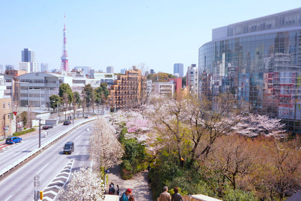 毛利庭園と東京タワー