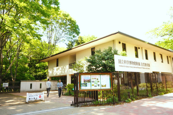 自然教育園