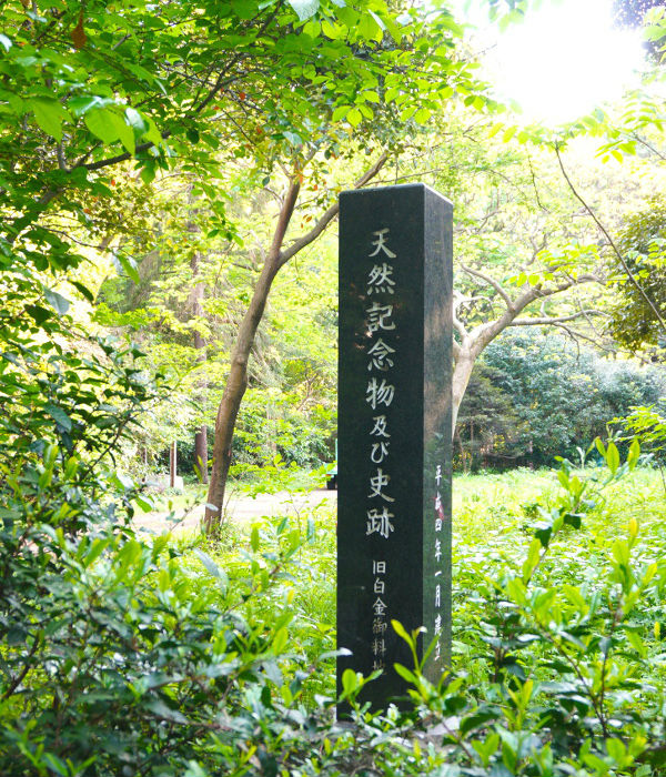 天然記念物及び史跡