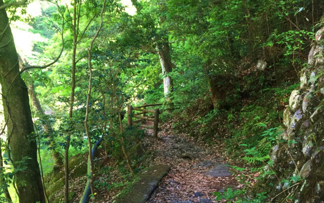 散策路