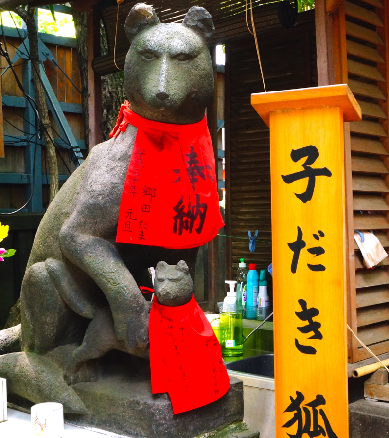子だき狐