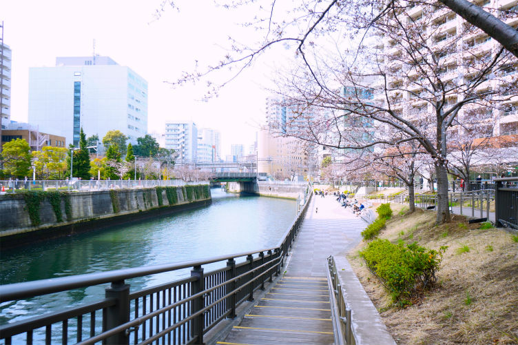 ふれあい水辺広場
