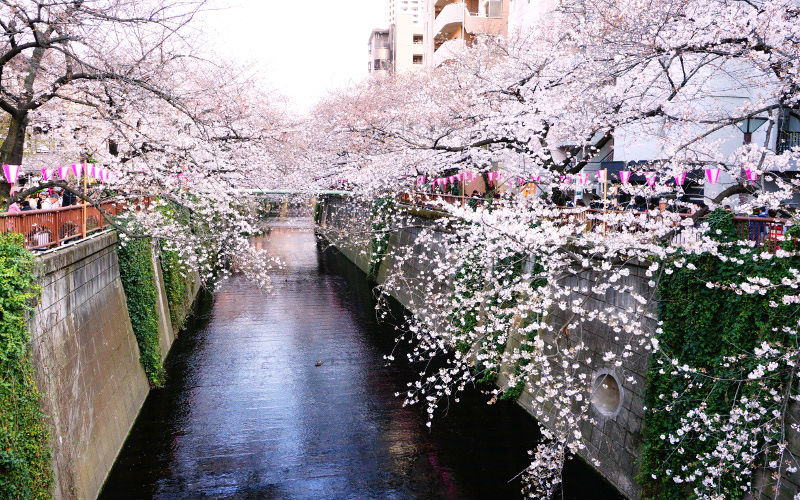 宿山橋