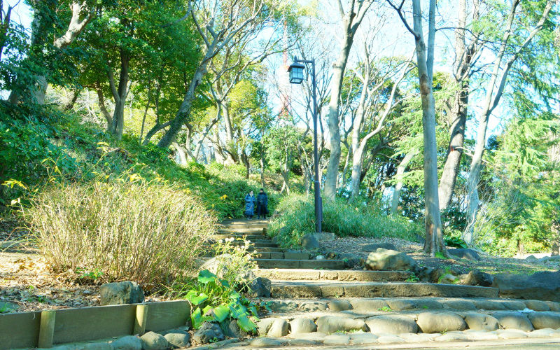 芝丸山古墳